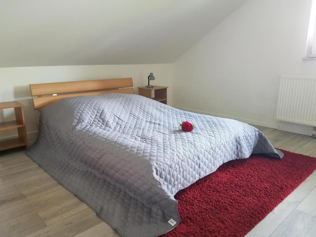 Apartment Penthouse N74 Linz Urfahr Pöstlingberg 120 qm Garten KIDS WELCOME! Exterior foto