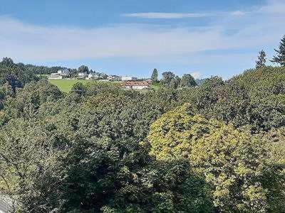 Apartment Penthouse N74 Linz Urfahr Pöstlingberg 120 qm Garten KIDS WELCOME! Exterior foto