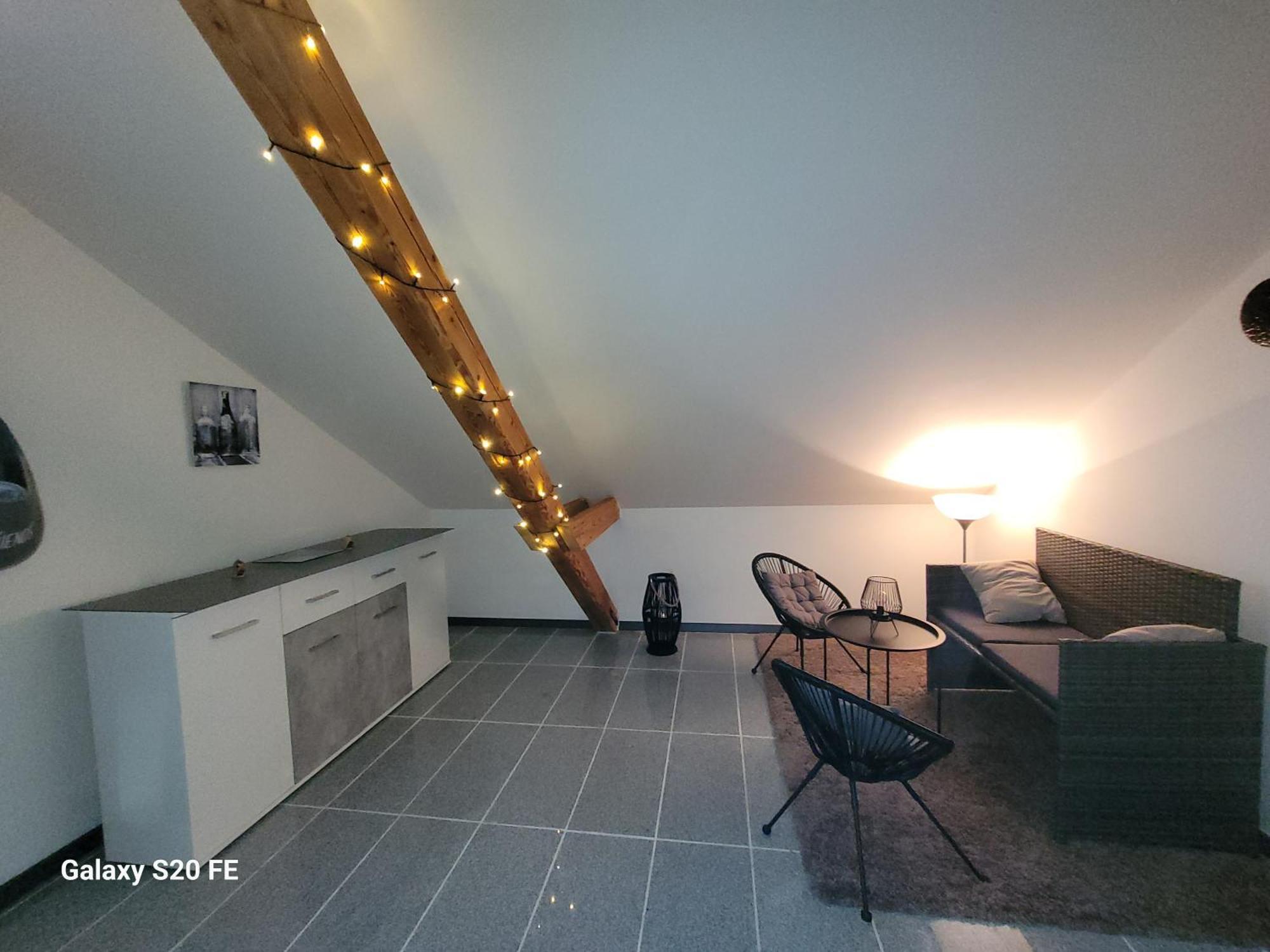 Apartment Penthouse N74 Linz Urfahr Pöstlingberg 120 qm Garten KIDS WELCOME! Exterior foto